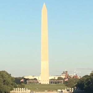 Meet your Posher, Ginger